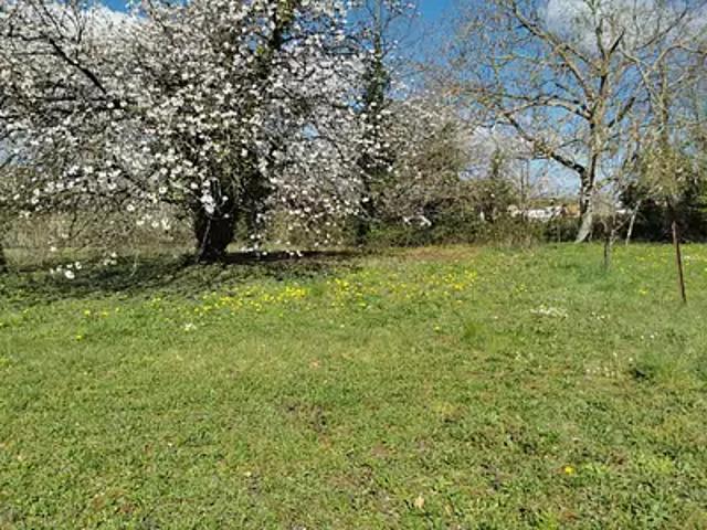 Bellenaves 03330 Programme neuf maison neuf à vendre 4 pièces
