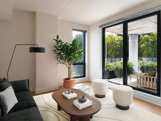 Bellevue 3