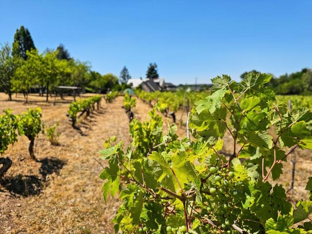 Bellevigne en Layon Propriété de 250 m² 2 habitations Piscine chauffée Plus d'1 hectare de terrain