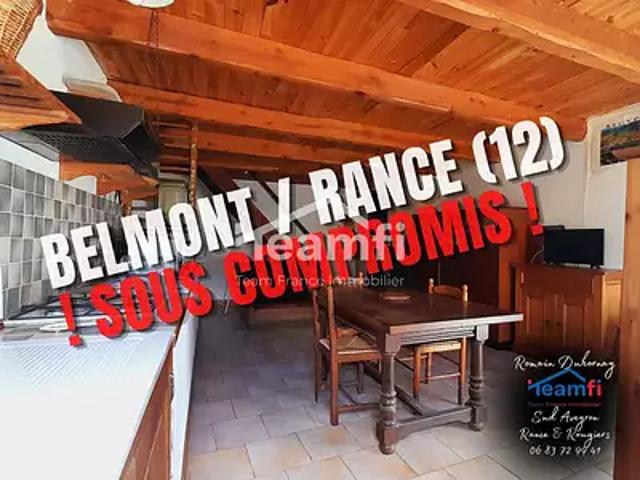 Belmont sur Rance 12370 Achat / Vente maison 2 pièces t2 terrasse parking