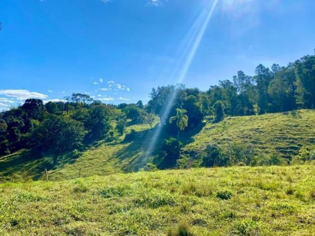 Belo Sitio com Riacho Pertinho da Serra Gaúcha em Três Coroas/RS