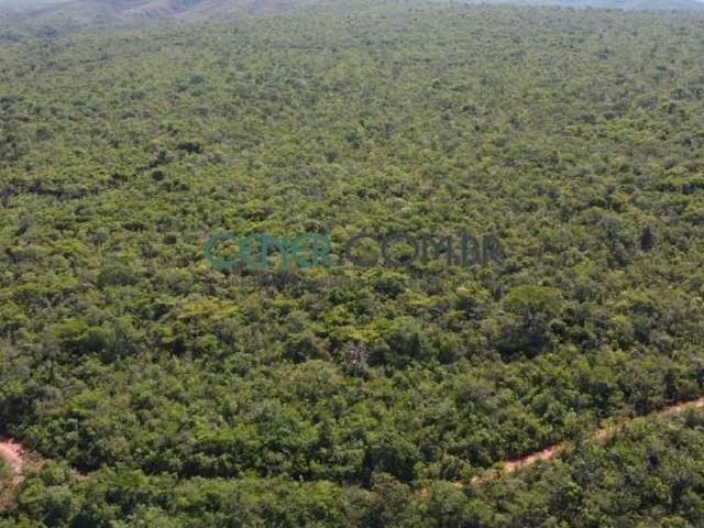 Belo terreno de 462 hectares espetacular para lavoura irrigada por apenas R$ 2.800.000,00