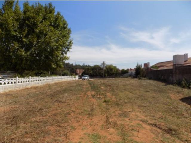 Belo terreno para loteamento às portas de Rio Maior