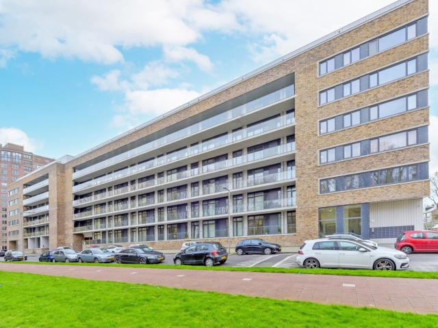 berberisweg 444f rotterdam