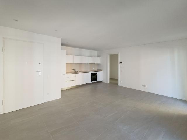 2,5 Zimmer Wohnung bereits vermietet in Caslano