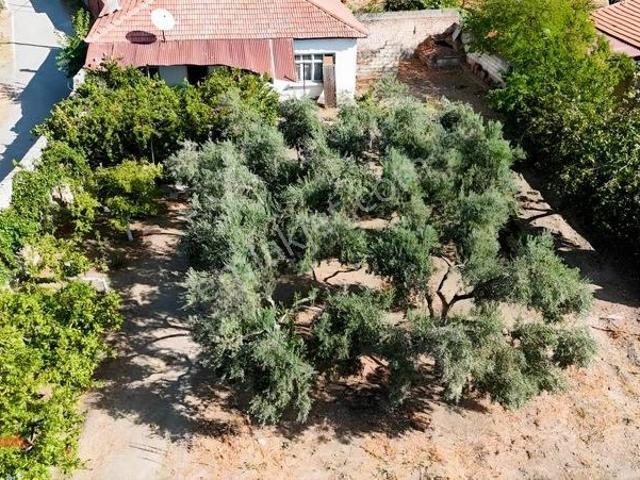 Bergama Aziziye Köyünde 687 M2 Satılık Müstakil Ev