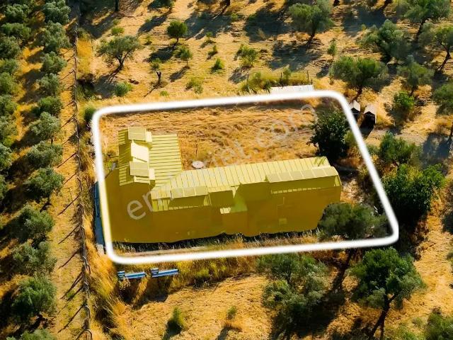 Bergama'da Kendi Enerjisini Üreten Ekolojik Yaşam Kampüsü.!
