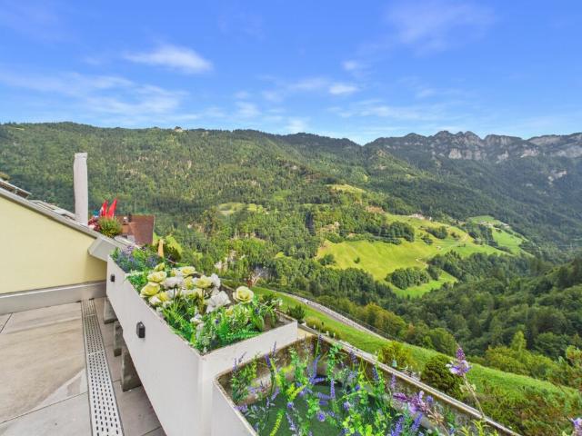 Bergkino inklusive Wohnen mit Aussicht