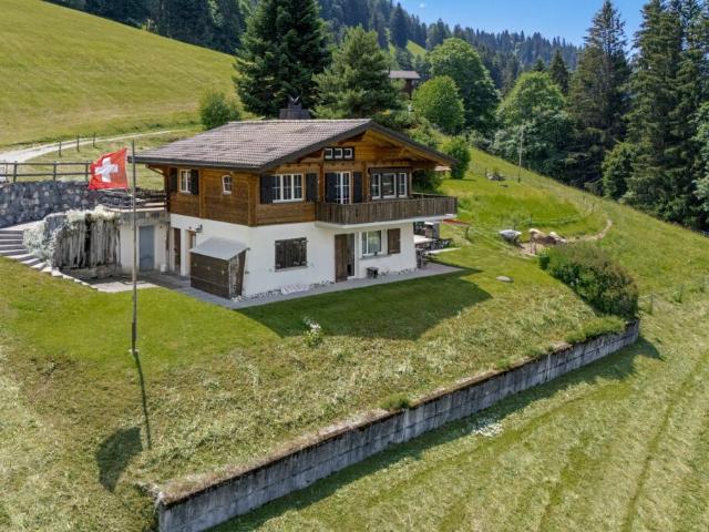 Bergidylle pur 3.5 Zimmer Ferienwohnung in Grüsch