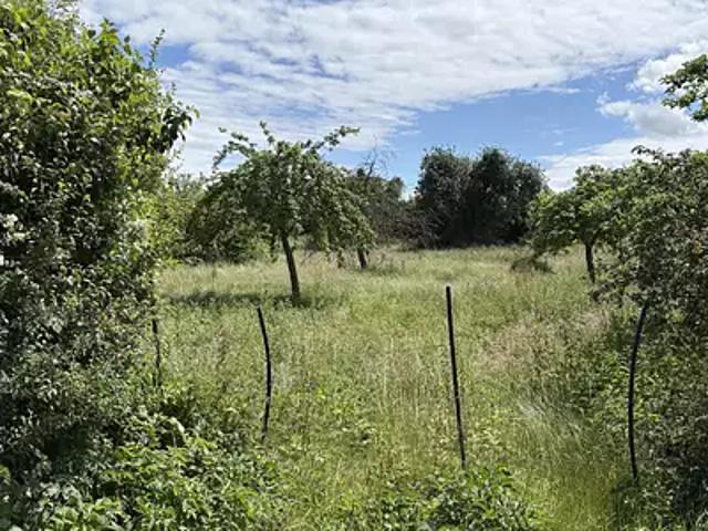 Berlaimont 59145 Programme neuf maison neuf à vendre 4 pièces