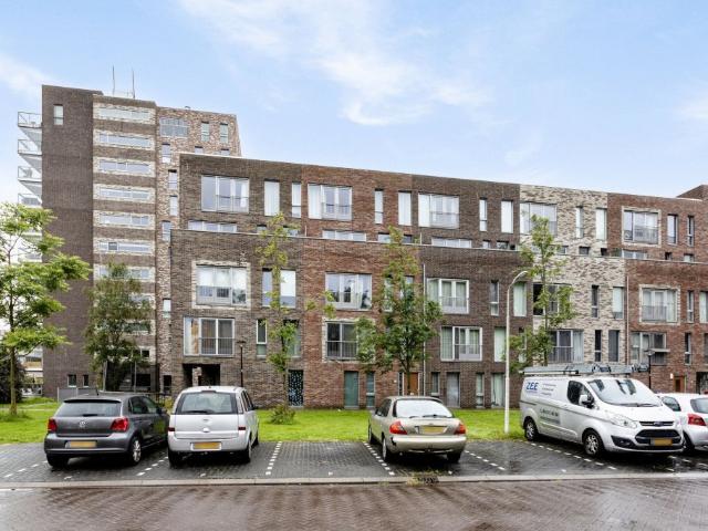 Bermuda, Zaandam