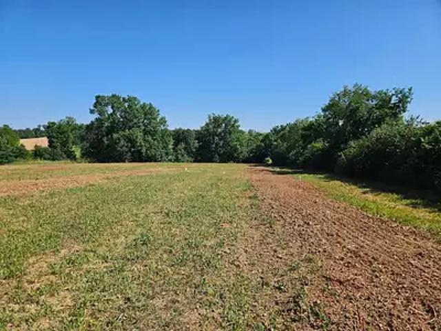 Bernac 81150 Programme neuf maison neuf à vendre 5 pièces