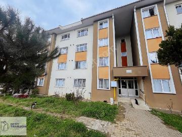 Best Of Trabzon yıldızlı Toki Satılık