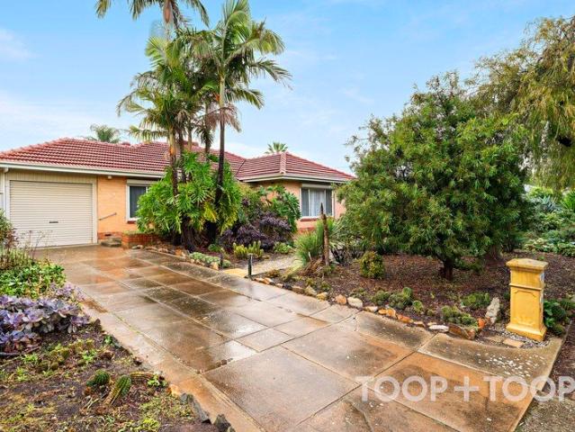 Contact Scott Thomson on 0414 427 427