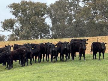 Best in Class Lifestyle & Prime Grazing