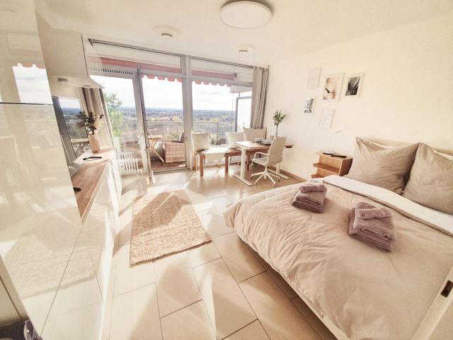 Best View Central Balcony Apartment Video online – euhabitat