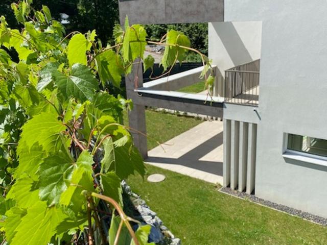 Beste Grünruhelage in Toller Wohngegend mit Garten Ertsbezug