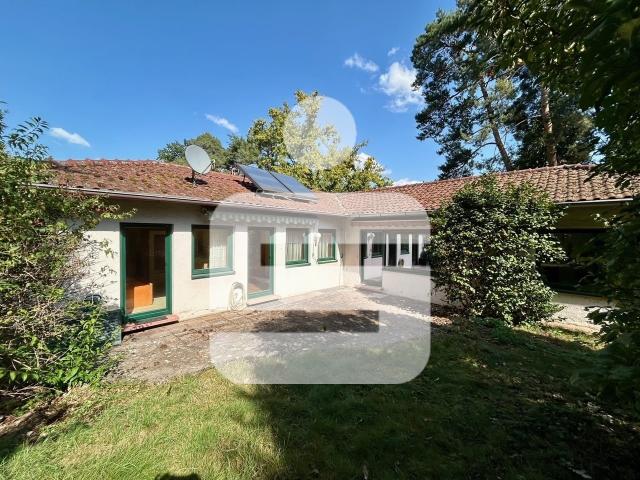 Bestlage in Alterlangen. Bungalow mit großem Grundstück