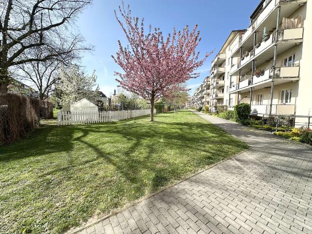 Beschauliche 2 Zimmer Wohnung mit Balkon und Aufzug in den Seidnitzer Gärten