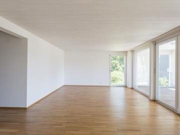 Hubzelg, Hueber Rebgarten, Romanshorn, Bezirk Arbon, Thurgau