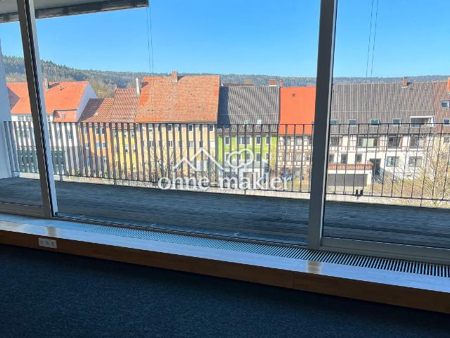 Besonderes Penthaus mit Donaublick