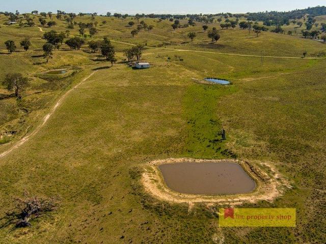 BESSIE'S PRODUCTIVE ACRES, ENDLESS POTENTIAL