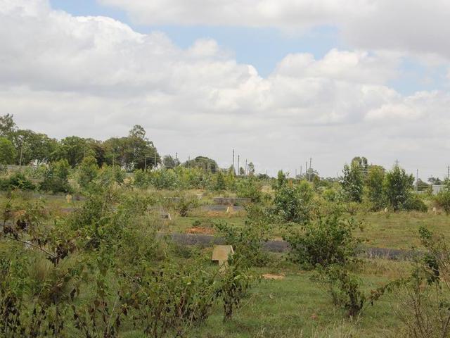 Bettahalsoor Residential Plot For Sale Bengaluru