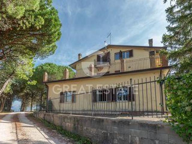 Bettona Perugia 89547193