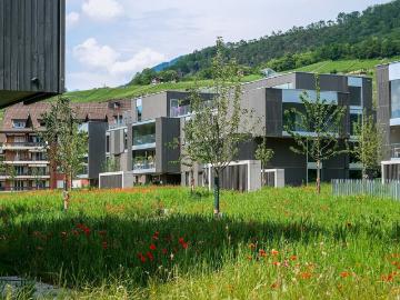 Bex, Bezirk Aigle, Waadt - Büroraum, Terrasse