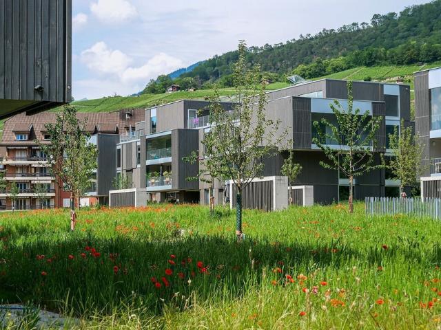 BEX BEL APPARTEMENT 2.5PCES AU REZ