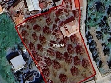 Nazilli Beyerli'de Hobi Bahçesi 2948m2
