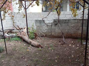 Beykent Den Satılık Müstakil Ev