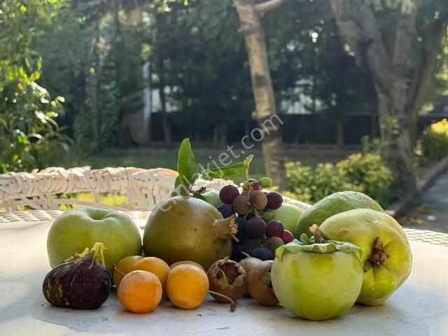 Beylikdüzü Gürpınarda 511m2 Arsa 350m2 Kapalı Alan 3katlı Villa