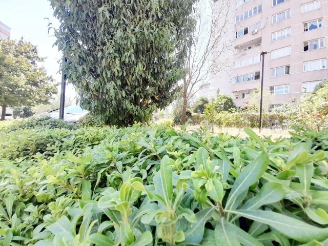Beylikdüzü Yakuplu Marmara Da Gelişim Sitesinde 3+1 145 M2 Kiralık Daire