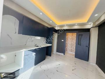 Şehitkamil, Gaziantep, Şahinbey, Kilis ili, Güneydoğu Anadolu Bölgesi
