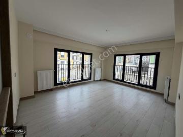 Şehitkamil, Gaziantep, Şahinbey, Kilis ili, Güneydoğu Anadolu Bölgesi