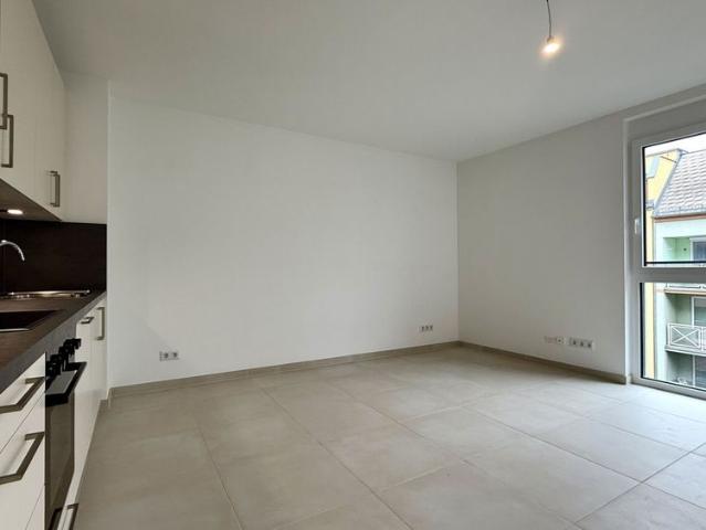 BEZUGSFERTIG: Neubau Erstbezug mit Freifläche und Küche! Top 7