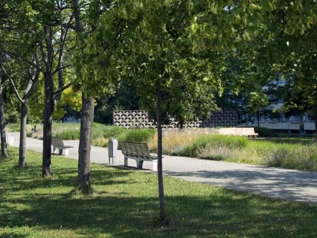 Bezugsfertige Familienwohnung am Wasserspielplatz