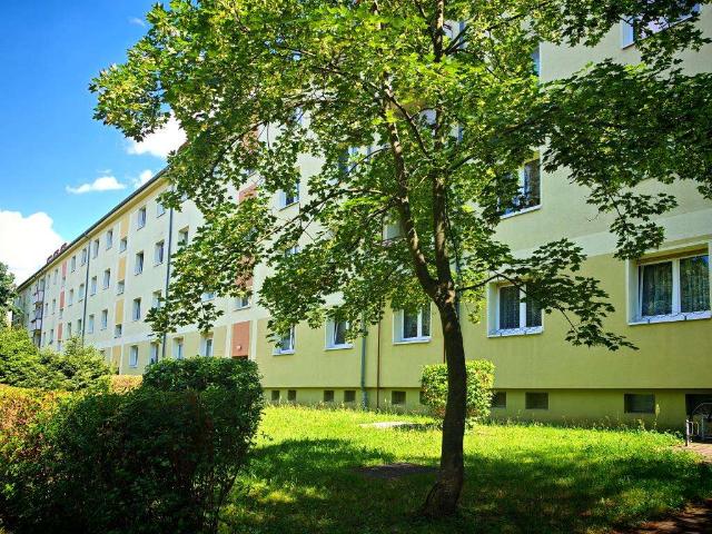 bezugsfertige 2 Raumwohnung mit Dusche und Aufzug im WK 1