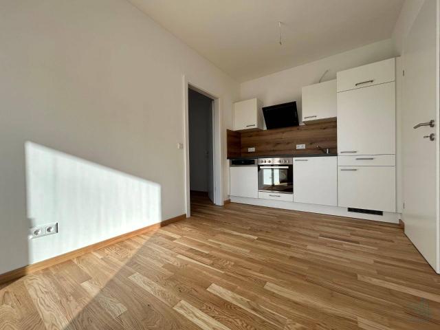 Bezugsfrei: 2 Zi Neubau mit Südbalkon, Graz Straßgang