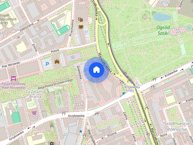 Bez prowizji/ 2 pokojowe z widokiem na Ogród Saski | po remoncie | centrum