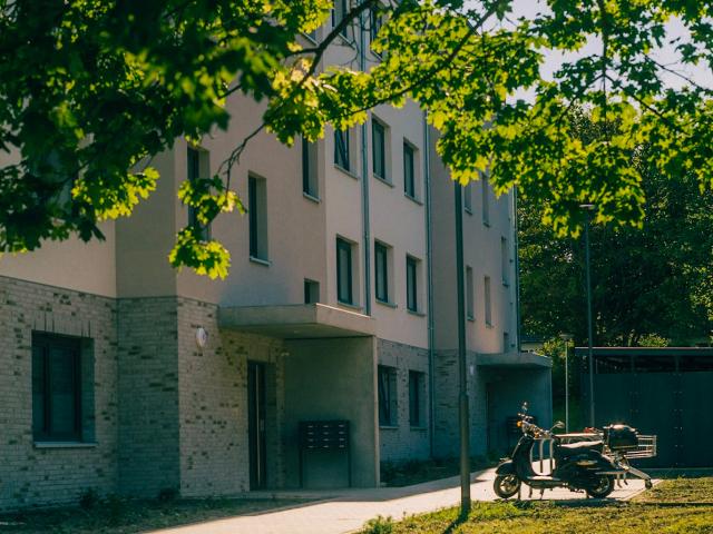 Bezahlbar Neubauwohnung im Schlesierweg / EG mitte WBS erforderlich
