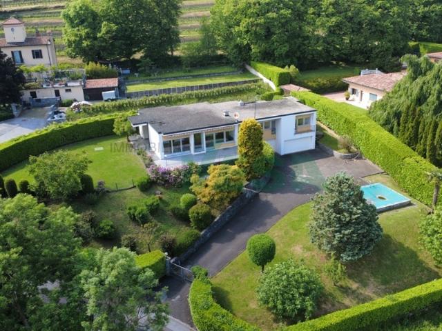 Bezaubernde Villa mit harmonischen, modernen Linien eingebettet in die Weinberge