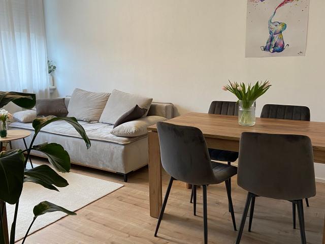 Bezaubernde, kompakte 2 Zimmer Wohnung im Herzen der Mainzer Neustadt, Mainz Amsterdam Apartments for Rent