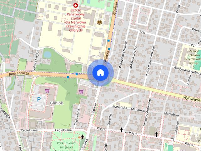 Bezczynszowe w ścisłym centrum Rybnika