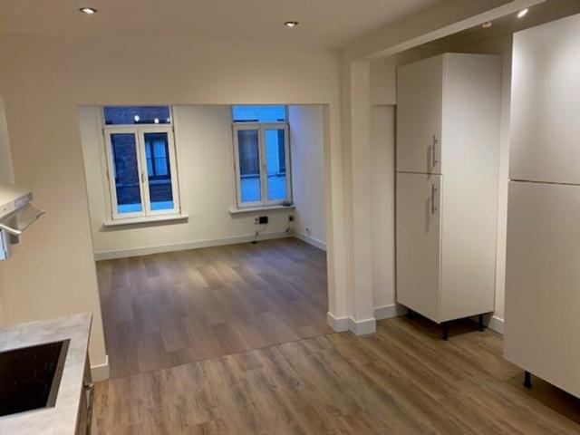 BEZOEKERSTOP ! Zuinig gerenov triplex appt met 3 slpkmrs