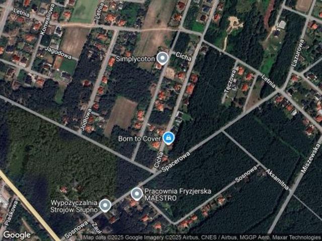 Bezpośrednio, Cekanowo, ul. Cicha, 300 m² Dom