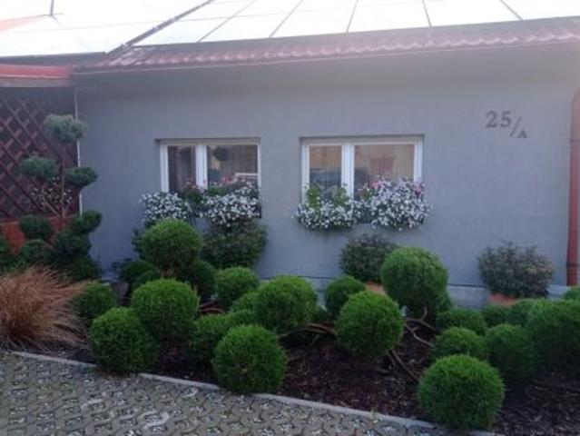 Bezpośrednio, Czarny Kierz, 130 m² Dom
