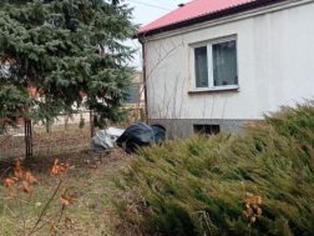 Bezpośrednio, Adelina, 110 m² Dom