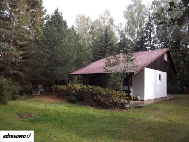 Bezpośrednio, Burlaki, Holendry, 55 m² Dom